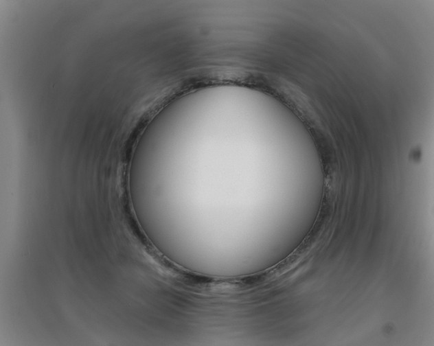 X0000094460462200711081103