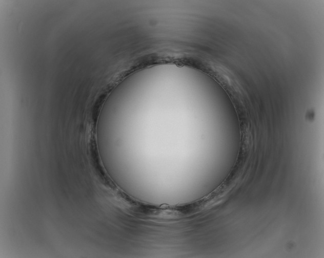 X0000094460463200711081103