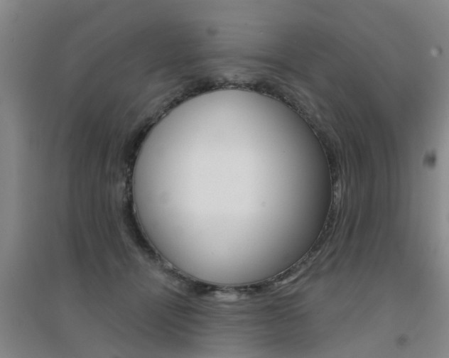 X0000094460464200711081103