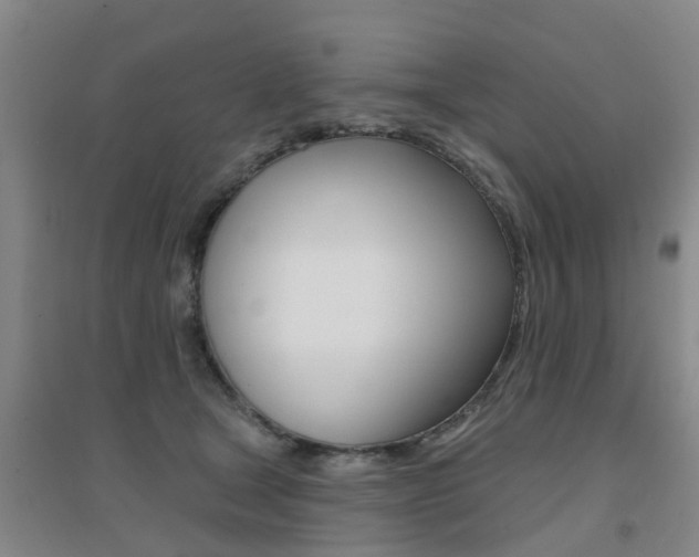 X0000094460465200711081103