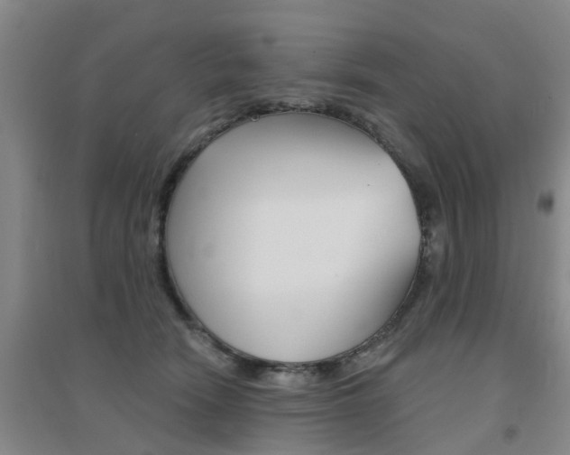 X0000094460466200711081103