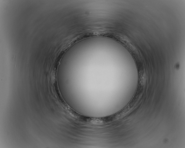 X0000094460471200711081103