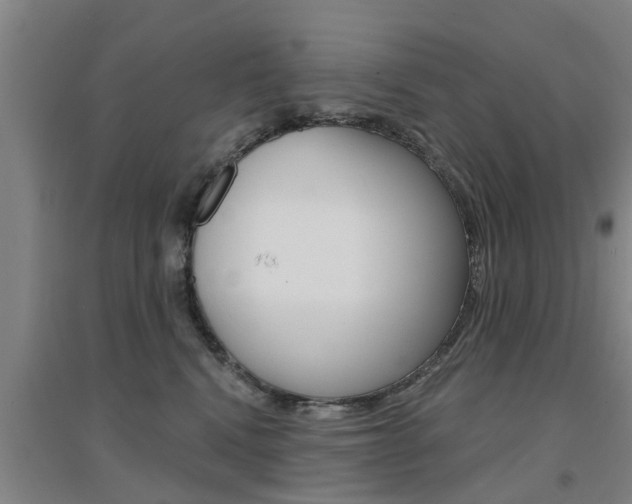 X0000094460472200711081103