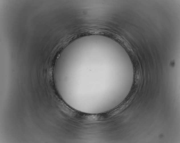 X0000094460473200711081103