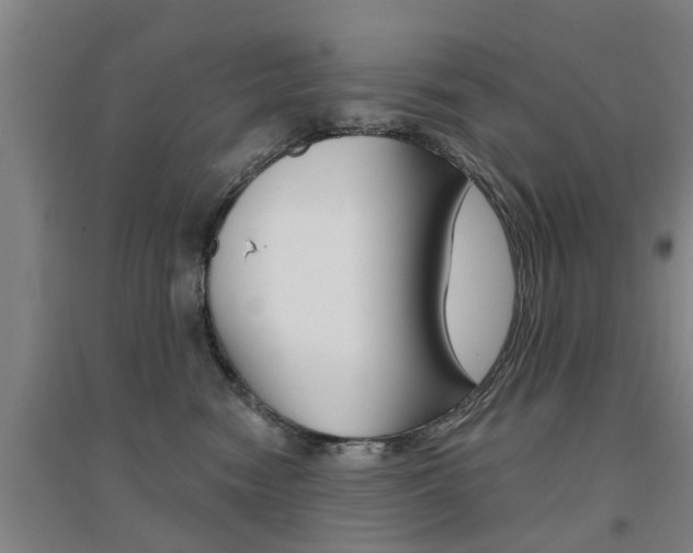 X0000094460474200711081103