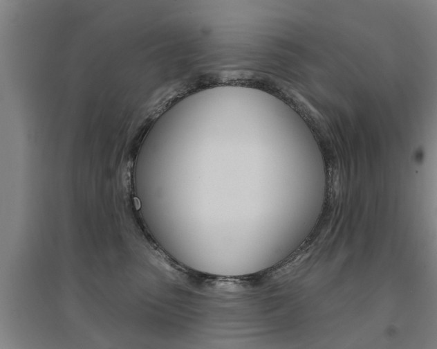 X0000094460475200711081103