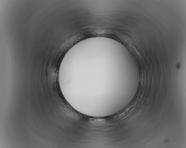 X0000094460476200711081103