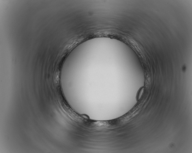 X0000094460477200711081103