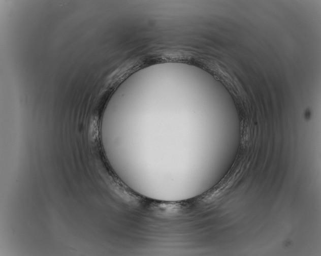 X0000094460478200711081103