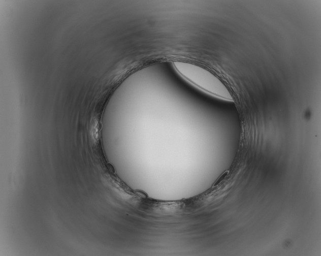 X0000094460479200711081103