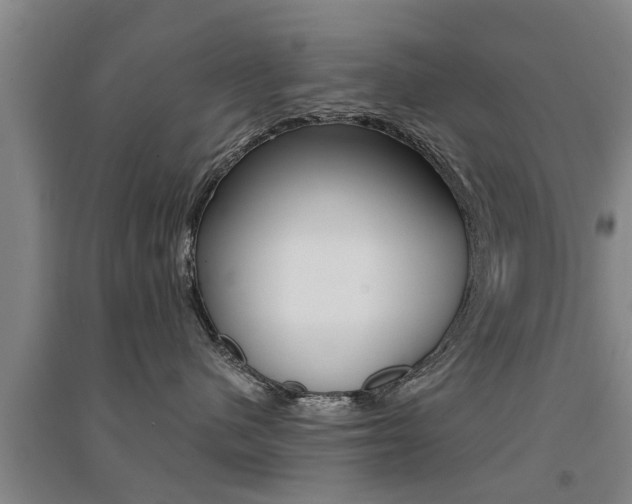 X0000094460480200711081103