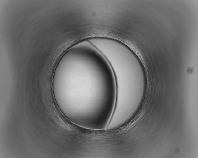 X0000094460481200711081102