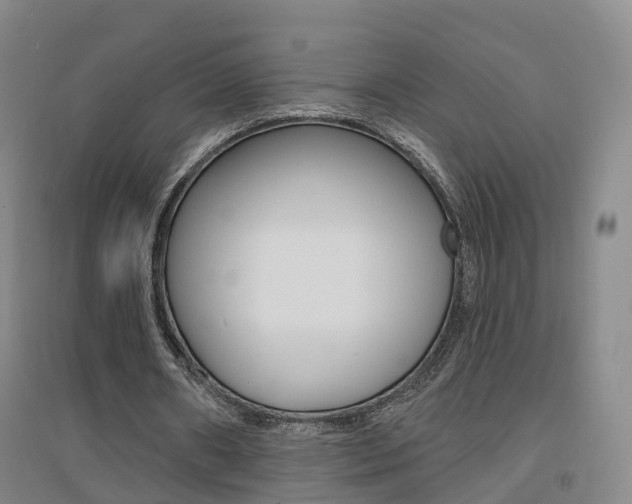 X0000094460482200711081102