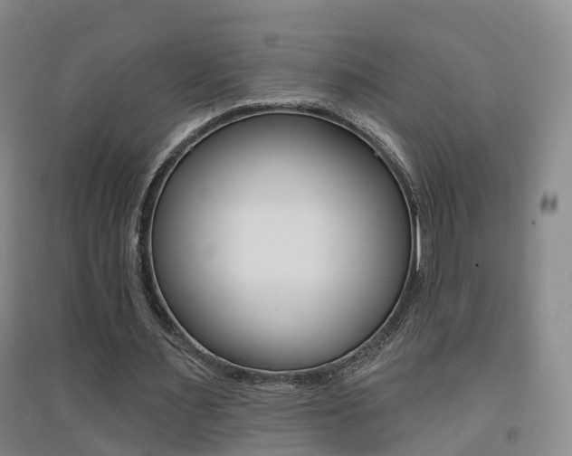 X0000094460483200711081102