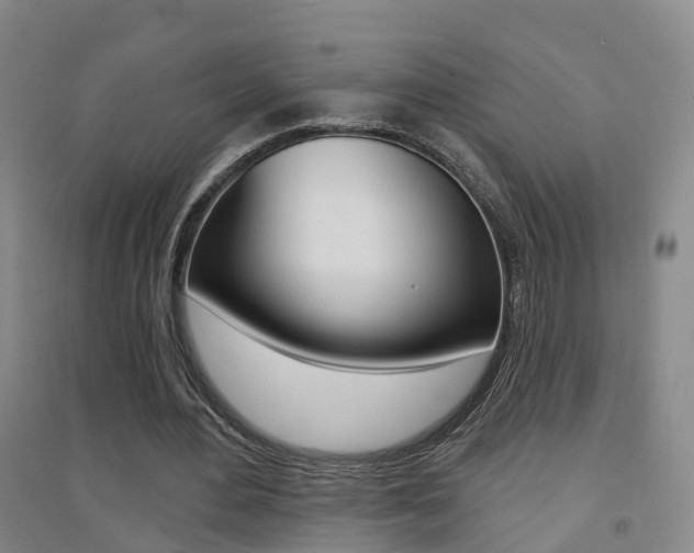 X0000094460484200711081102