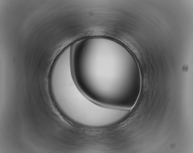 X0000094460485200711081102