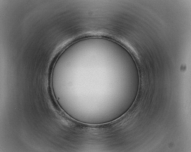 X0000094460486200711081102