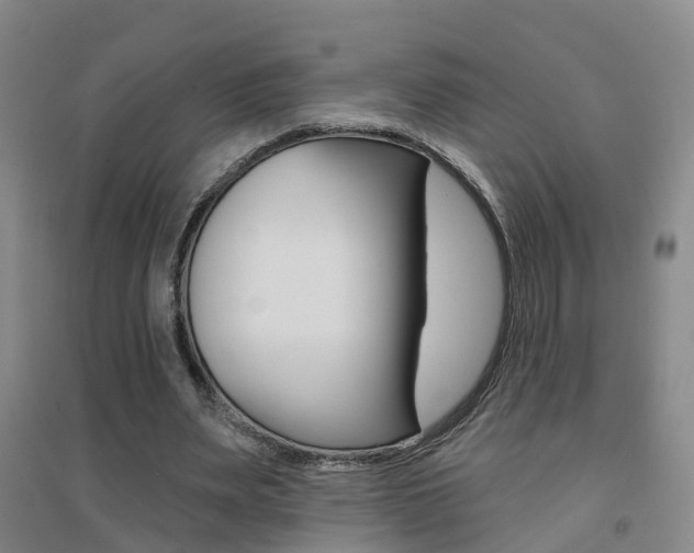 X0000094460487200711081102