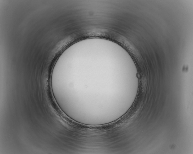X0000094460490200711081102