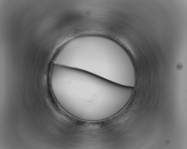 X0000094460491200711081102
