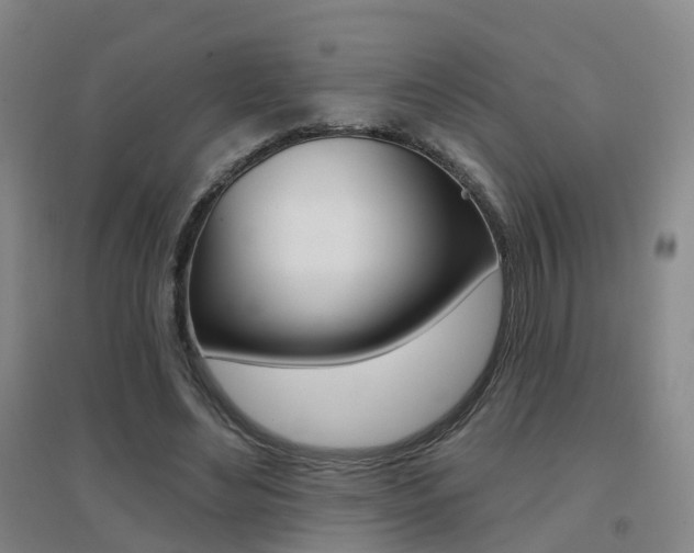 X0000094460492200711081102