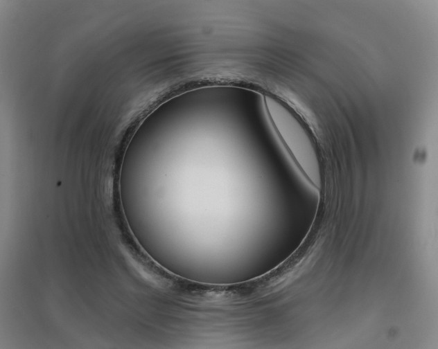 X0000094460493200711081102