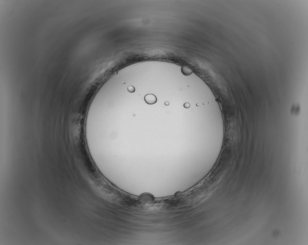 X0000094460495200711081102