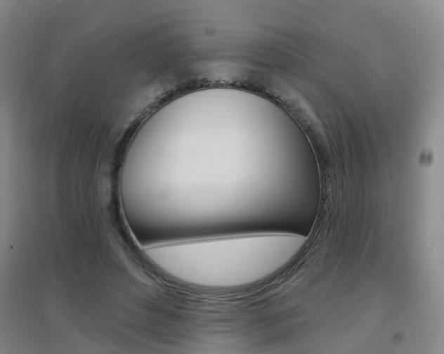 X0000094460496200711081102