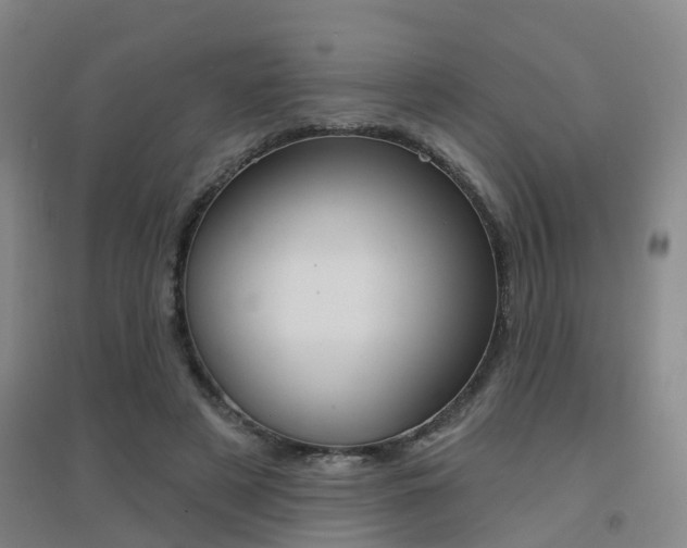 X0000094460497200711081102