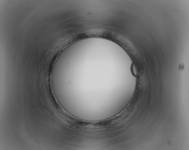 X0000094460498200711081102