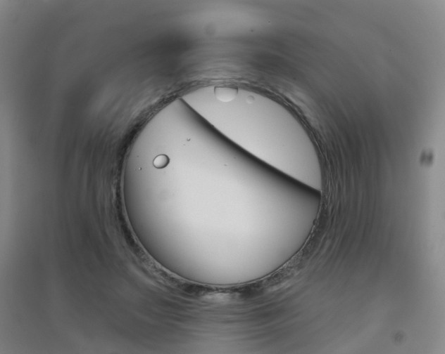 X0000094460499200711081102
