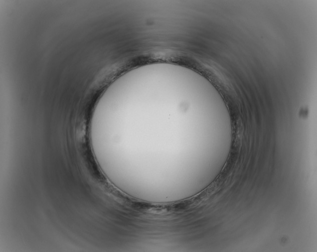 X0000094460502200711081102