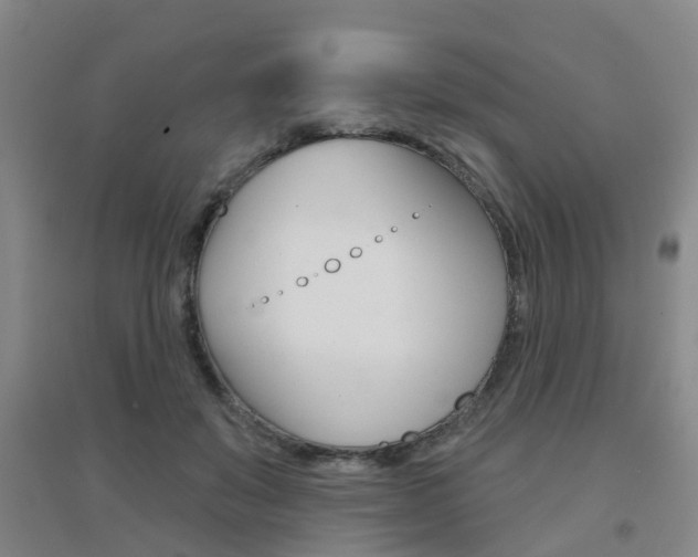 X0000094460503200711081102