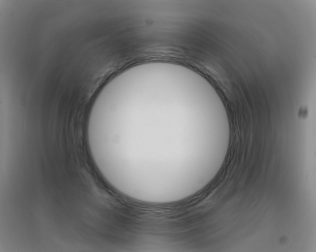 X0000094460504200711081102