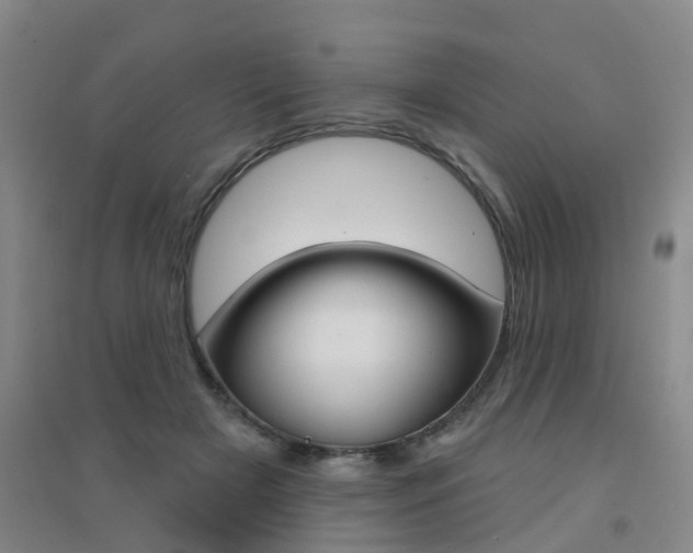 X0000094460505200711081102
