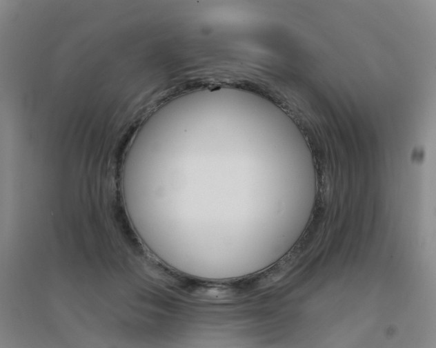 X0000094460506200711081102