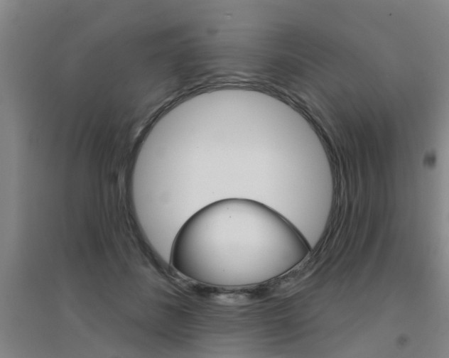 X0000094460508200711081102
