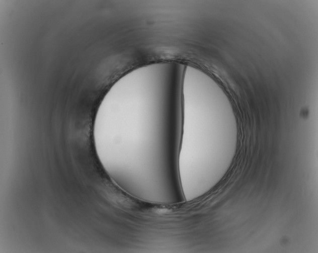 X0000094460509200711081102