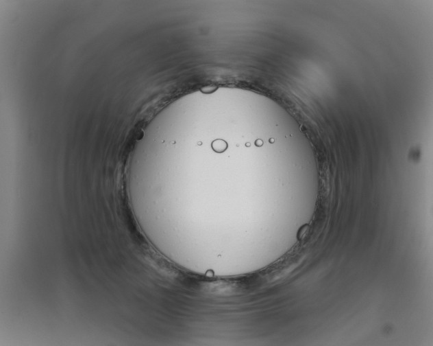 X0000094460511200711081102