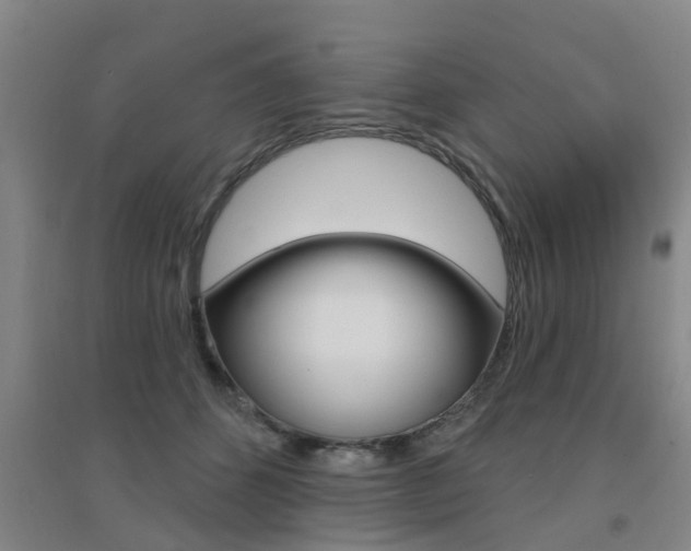 X0000094460512200711081102