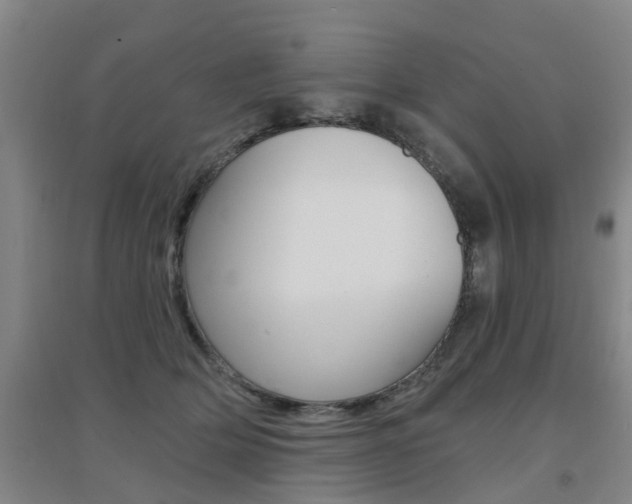 X0000094460514200711081102
