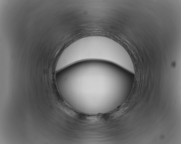 X0000094460516200711081102