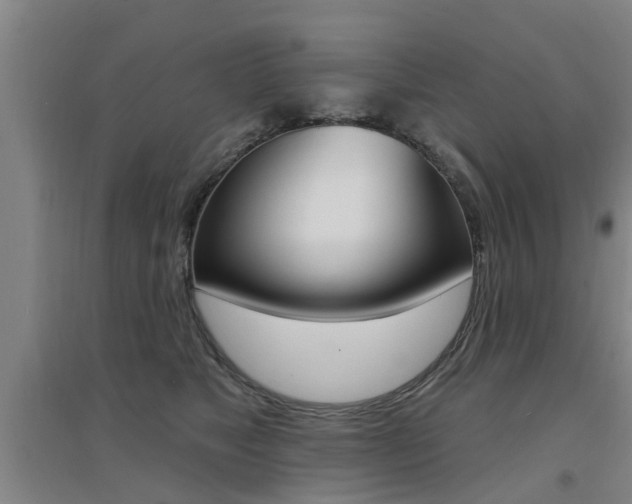 X0000094460517200711081102