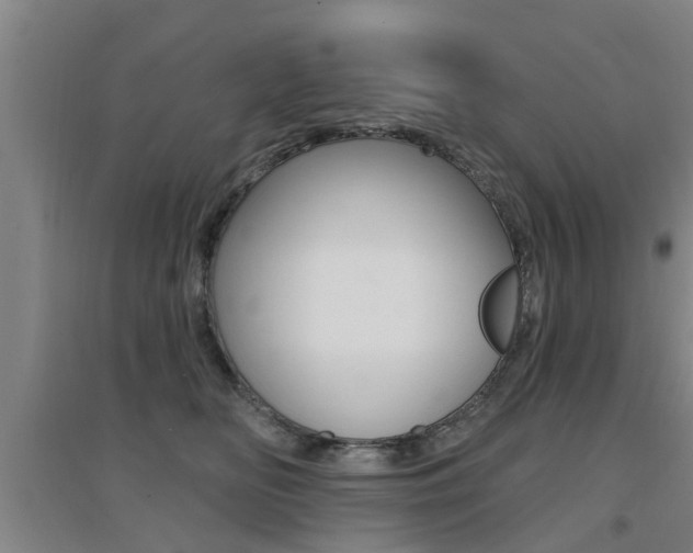 X0000094460518200711081102