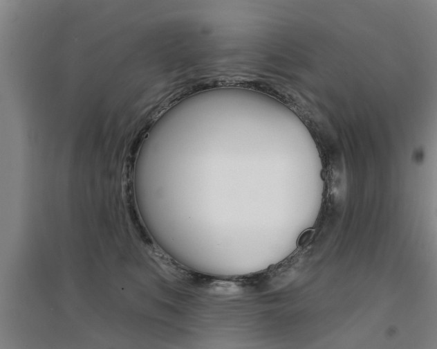 X0000094460519200711081102
