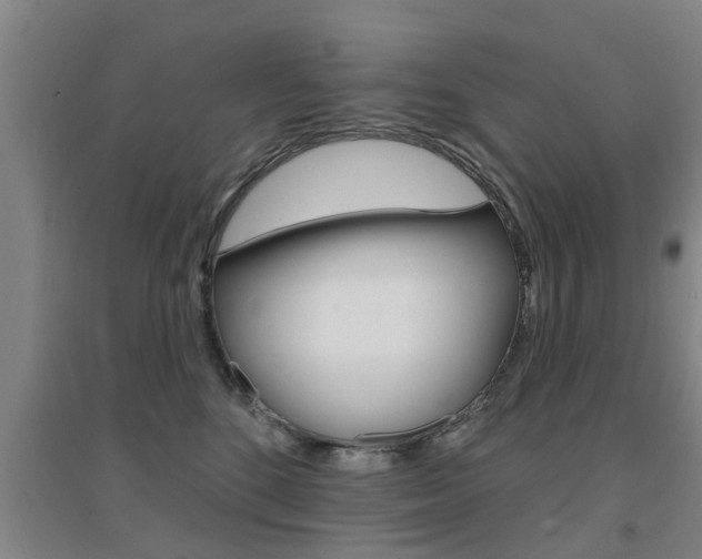 X0000094460520200711081102