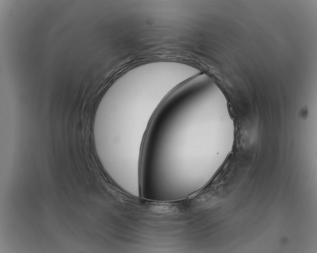 X0000094460521200711081102