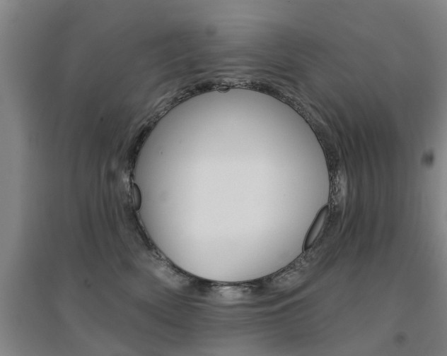 X0000094460522200711081102