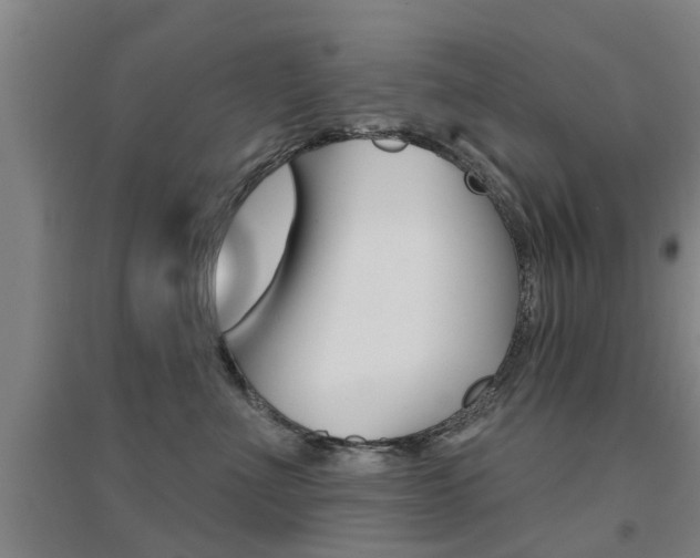 X0000094460523200711081102