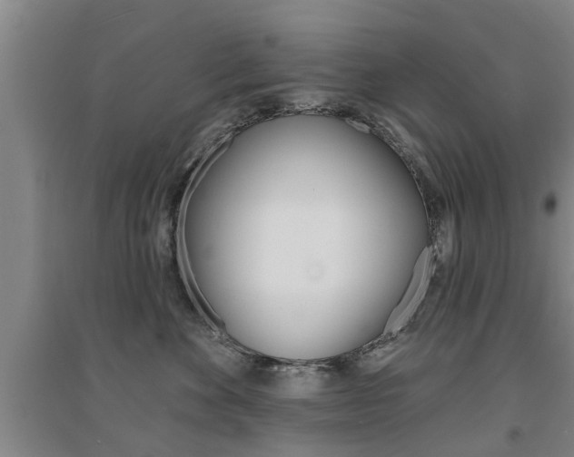 X0000094460524200711081102